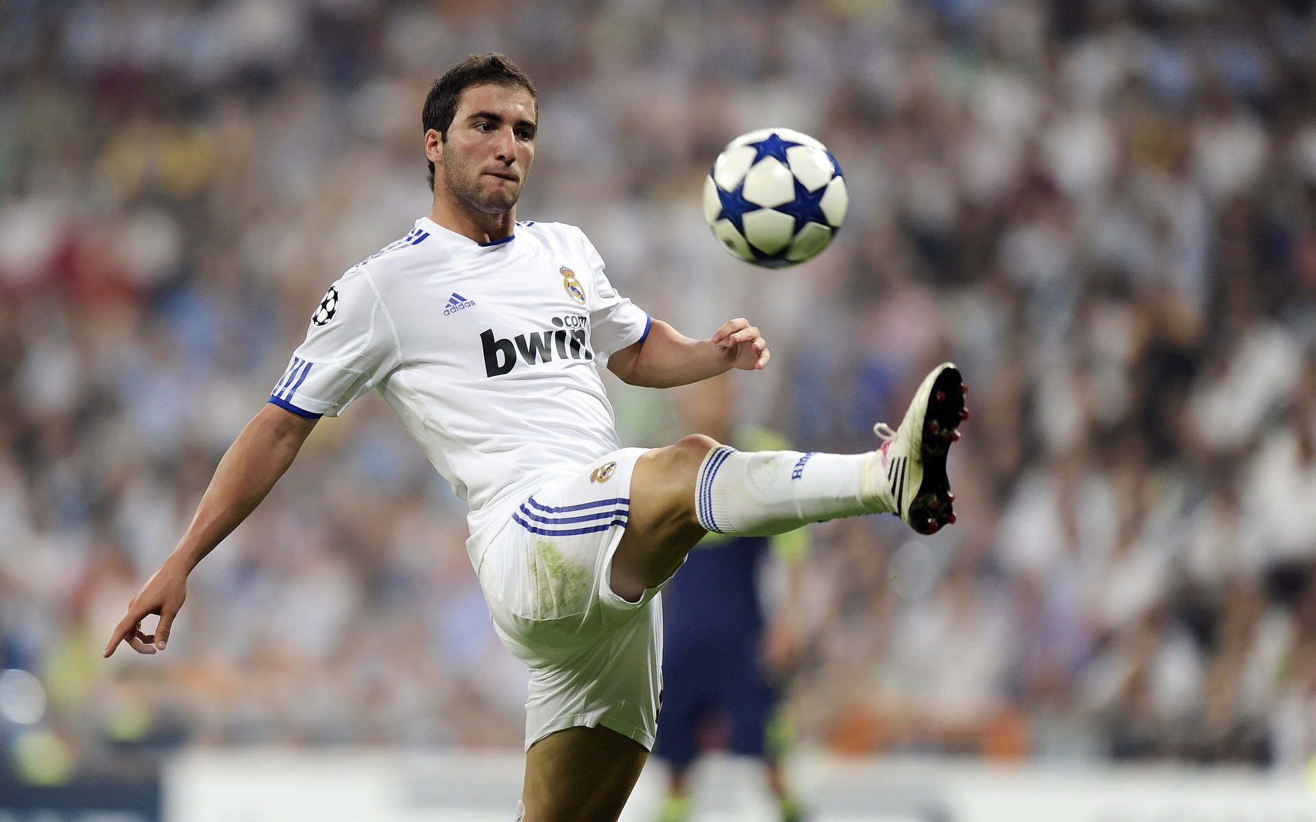 史上最感人“冠军夜”:荣耀与泪水交织,荣耀冠军bgm